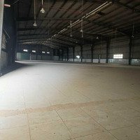 Cho Thuê Xưởng Hóc Môn Giáp Củ Chi. Diện Tích: 4700M2 Có Pccc T. Duyệt Chỉ 200 Triệu