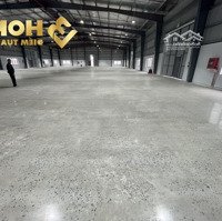 Cho Thuê Kho Xưởng Cụm Công Nghiệp 1700M2 Tại Tiên Lãng - Hải Phòng