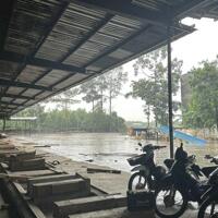 Cho thuê xưởng có 16 lò sấy xã Quảng Tiến, Trảng Bom