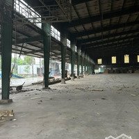 Cho Thuê Xưởng Có 16 Lò Sấy Xã Quảng Tiến, Trảng Bom