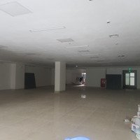 Cần Cho Thuê Nhà Nguyễn Cơ Thạch - Mỹ Đình 160M2 8Tầng, Mặt Tiền 8M, Thông Sàn Đẹp Nhất Khu 130 Triệu