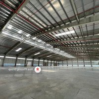 Cty Hoa Phượng Cho Thuê Kho, Xưởng Kcn Tân Kim, Có Kho Tự Quản Và Kho Dịch Vụ (300M2 Đến 45.000M2)