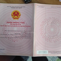 Bán Đất Chính Chủ Tại Thái Lai Minh Trí Diện Tích 236M2 Sổ Đỏ Trao Tay
