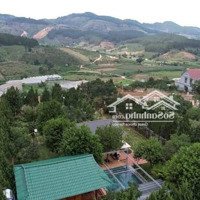 Bán Villa Sân Vườn 1470 M2 -Tà Nung Đà Lạt Giá Bán 13,8 Tỷ