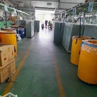 Kho Xưởng Cho Thuê Đường Phan Huy Ích, Quận Gò Vấp, Dt: 1.000M2, Giá 70 Triệu/Th