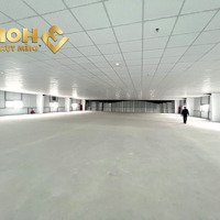 X683. Cho Thuê Kho Xưởng Trong Cụm Công Nghiệp 3000M2