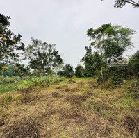 Cần Bán Gấp 1392M2 Đất Thổ Cư Bám Hồ Giá Rẻ Tại Lương Sơn, Hòa Bình