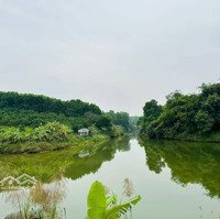 Cần Bán Gấp 1392M2 Đất Thổ Cư Bám Hồ Giá Rẻ Tại Lương Sơn, Hòa Bình