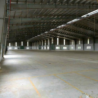 Cho Thuê Xưởng Bến Cát 22000M2 960 Triệu. Giấy Tờ Đầy Đủ