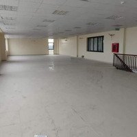 Cho Thuê 50.000M2 Nhà Xưởng Pccc Tự Động, Tại Kcn Thái Nguyên