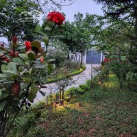 Bán Nhà Vườn Tại Vân Côn Hoài Đức 1000M Giá Bán 12.5 Tỷ, Ô Tô Vào Lh Em Thảo 0914664189