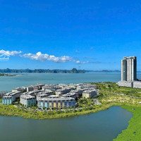 Cần Tiền Bán Gấp Căn Liền Kề Harbor Bay Hạ Long Đi Bộ Ra Bãi Biển Giá Chưa Đến 6 Tỷ