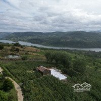 Đất Nền Lâm Hà Lâm Đồng Sẵn Hồ View Sông Và Sẵn Trái Cây Ăn Quả