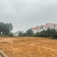 Siêu Phẩm Hàng Xóm Xanh Villa. Xanh Villa Mấy Chục Tỷ Nhưng Em Có Hơn 1 Tỷ Tý Thôi Ạ