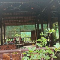 Homestay Khu Nghỉ Dưỡng & Đất Vườn Ngay Sài Gòn