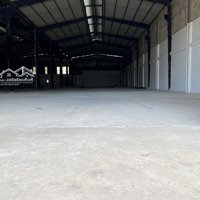 Cho Thuê Kho 2000M2 Ở Quận 6. Hai Mặt Tiền, Cao 10M Thích Hợp Cầu Lông