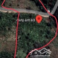 Bán 1,7Ha Đất Rẫy Đăkha Dăk Glong , 200M Đường Bê Tông, Giá Bán 650 Triệu