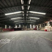 Cho Thuê Kho Xương 1950M2 Đường Lý Chiêu Hoàng Quận 6