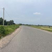 Lô Đất 700 M2 Đường Hồ Chí Minh Huyện Đức Hòa, Tỉnh Long An Giá Rẻ