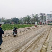 Bán Đất 80M Đấu Giá Phân Lô Huỳnh Cung Tam Hiệp Thanh Trì Hà Nội