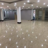 Cho Thuê Vp Lk Phố Lâm Hạ 100M, Lô Góc, Vỉa Hè Rộng, 16 Triệu/Th