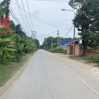 Bán Xưởng Giá Rẻ 300M2 Xã Thiện Tân, Vĩnh Cửu, Đồng Nai Chỉ 4,5 Tỷ