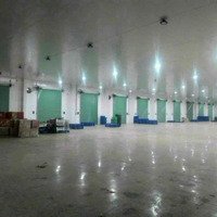 Cho Thuê Xưởng Trong Khu Công Nghiệp Diện Tích 18.000M2