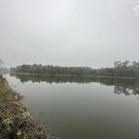Cần bán gấp 6581m đất bám hồ tại Lương Sơn