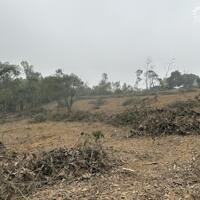 Cần bán gấp 6581m đất bám hồ tại Lương Sơn