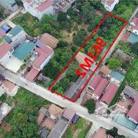 Bán Lô Góc 970M2 Sân Bay Nội Bài Tại Tân Trại - Xã Phú Cường, Sóc Sơn, Giá Siêu Rẻ. Liên Hệ: 0981568317