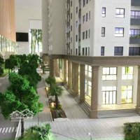 Bán Lỗ Căn Shophouse 150 Tr So Với Hđ Gốc Thanh Toán Tiền Theo Tiến Độ Dream Home Riverside Quận 8