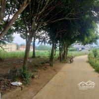 Bán Đất Nghỉ Dưỡng Lô Góc 686M2 Full Thổ Cư View Cánh Đồng Tại Cao Dương Lương Sơn