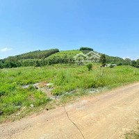 Bán Đấtdiện Tích1000M2 (10X100M) Đất Trồng Cây Tại La Ngà, Huyện Định Quán, Đồng Nai