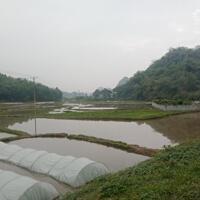 Chủ cần bán gấp lô đất tiềm năng tại Cao Dương Lương Sơn. Tổng diện tích 3438m2 ,400 thổcư
