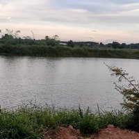 Bán Đất Vườn Sầu Riêng Tại Tân Phú Đồng Nai