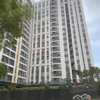 Căn Hộ 114 M2, 3 Phòng Ngủ Ctadines Bd, Ql13 Thuận An