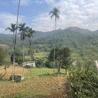 Bán Đất Tại Huyện Lương Sơn Tỉnh Hoà Bình Giá Rẻ