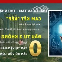 Tại Sao Nên Bỏ Một Phần Vốn Đầu Tư Vào Thị Trường Tỉnh, Quý 2/2024. Chỉ Bỏ Ra 800 Triệu Ln Thu 216 Triệu.