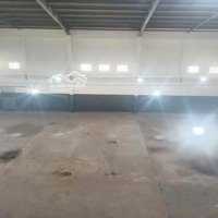 Mbkd Mặt Tiền Kho Xưởng Cực Rẻ ( 1000M2 ) B-Chánh