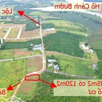 Đất Mặt Tiền Đường 17 View Hồ Cánh Bướm, Bảo Lâm, Lộc Quảng