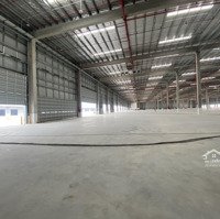 Cho Thuê Kho, Xưởng 18.000M2 Tới 93.000M2 Tiêu Chuẩn Quốc Tế, Thuận Thành Bắc Ninh