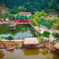 Bán Trang Trại Phố Mới Địa Điểm Kinh Doanh Giải Trí Bậc Nhất Lào Cai