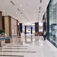 Cho Thuê Văn Phòng Discovery Complex Số 302 Cầu Giấy, Hà Nội (Hh Hấp Dẫn)