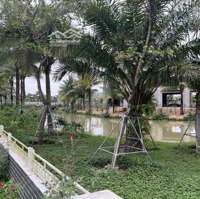 Cho Thuê Btsl Thương Mại Eco Garden Lô Góc, 312M2X3T, Đã Hoàn Thiện, Giá Tl