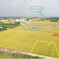 150M2 Thổ Cư Đường Đan Xe Ô Tô 7 Chỗ Tới Đất Gần Kcn An Nhựt, Tân Xã, Tân Bình, Tân Trụ