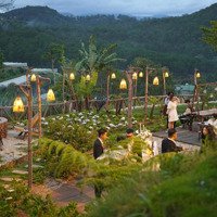 Cho Thuê Mặt Bằng 2000M2 Quán Nướng, Cafe, View Rừng Thông P11, Đà Lạt