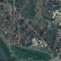 Bán Đất Nông Nghiệp Mặt Đường Tỉnh Lộ Kênh Lung Lớn - Xã Bình Trị - Huyện Kiên Lương - Kiên Giang