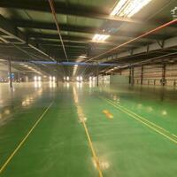 Cho thuê kho xưởng 2000m2, 3000m2, 5000m2, 10.000m2 trong KCN Nhơn Trạch, huyện Nhơn Trạch, Đồng Nai