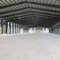 Cho thuê 5000m2, 10.000m2 đường Quốc Lộ 51, xã Long An, Long Thành, Đồng Nai