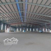 Cho Thuê 5 Kho Kcn Trảng Bàng, Dt: 3.200M2 Đến 15.000M2, Tây Ninh